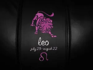 Leo Pink Logo Panel
